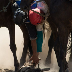 Депутаттардын көк бөрүсү уланууда