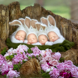 №4 төрөтканада 28 жаштагы айым 4 эм ымыркайдын энеси болду