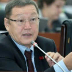 Дамира Кадырбаева: «Артыкбаевдин арам иштерге аралашканына ишенбейбиз»