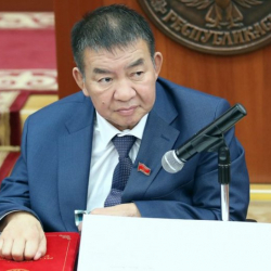 Насыр Мусаевдин мандатын ажыратууга "Кыргызстанчылардын" эрки жетпей