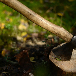 Баш кесерге иш бар!