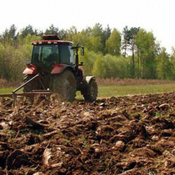 Кыргыз Республикасында 2019-жылдын жазгы талаа жумуштарынын жүрүшү жөнүндө 2019-жылдын 19-мартына карата маалыматы