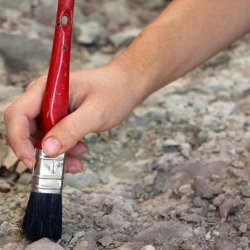 Кытайда 110 миллион жылдык куш фосили табылды
