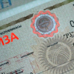 УКМК: Чет элдик жарандарга мыйзамсыз виза алуу фактысы аныкталды