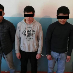 ИИМ-Карактоого шектүүлөр кармалышты