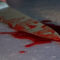 Тооктун айынан кызы менен энесин бычактаган кошуна