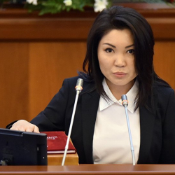 Элвира Сурабалдиева, ЖК депутаты: “Парламент көп жерде сынган татыктуу болуп калдык”