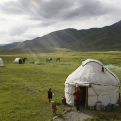 Жайыт акысы 2018-жылы 24 миллион сомго көп жыйналды