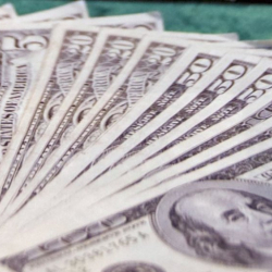 Жалбыракты акчага айланткан адам