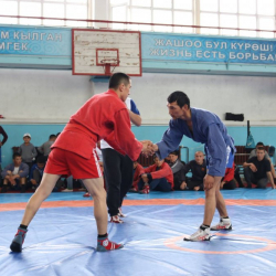 Сүрөт - «Самбо» боюнча Жалал-Абад ОИИБдин биринчилиги ѳткѳрүлдү 