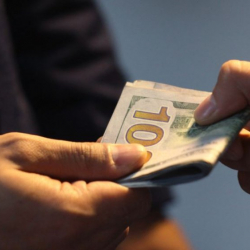 Мамкаттоо кызматы коррупциянын ордосуна айланганбы? 