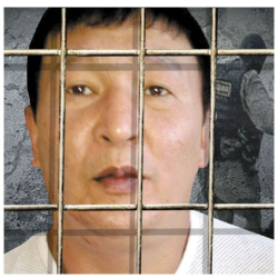 ВИДЕО - Каймана аты “Лимонти” Алмаз Сулайманов видеотасма аркылуу "привет Гулька" деп саламын айтты....