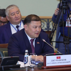 Сүрөт - Төрага Дастанбек Жумабеков КМШ ПАА Кеңешинин жыйынына катышты