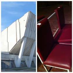 ФОТОРЕПОРТАЖ - Калдайган Кожомкул спорт сарайынын жетекчиси Африканын папуастар жашаган жеринен келгенби?