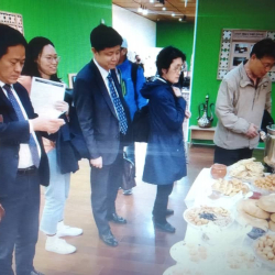 ...проходит неделя кыргызской культуры в рамках фестиваля, посвящённому празднованию Нооруз...