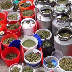 ИИМдин БМЖКККнын ыкчам кызматкерлери баңгизатын сатып жүргөн жаранды кармашты