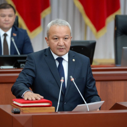 “Иттин өлүгү” бул жакта экен