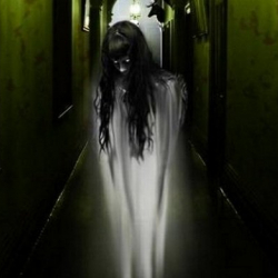 БОЛГОН ОКУЯ: Китептин ичинен суурулуп чыккан арбак