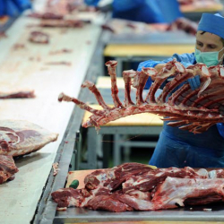 Мировые цены на продукты питания выросли в апреле