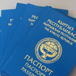Москвада Кыргызстандын жасалма документтери менен паспортторун  колдонуп жүргөндөр кармалышты