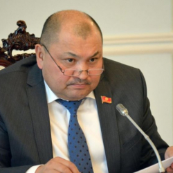 Назгул Мамытова: "Кожобек Рыспаев, "мен саясий сойку эмесмин" деп жатат"