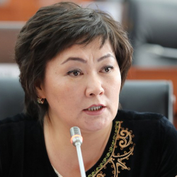 Жылдыз Мусабекова, ЖК депутаты: "Өкмөт отставкасы тууралуу талап дале күчүндө"