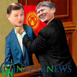 «Чимкириктердин атаманы» чимкиригин Атамбаевге сүйкөдү