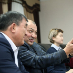 Чимкирик "илита"