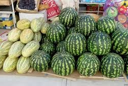 Кыргызстанга алынып келинген дарбыз, коондордон кооптуу нитраттар табылды