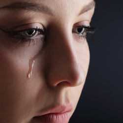 Бактыгүл Сексенбекова: "Адашкан карек"