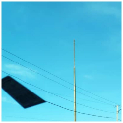 Кара-Сууда кор болгон кайран желек