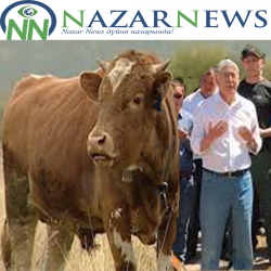 УКМК Атамбаевге торпок ташып калганбы?