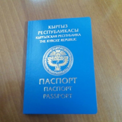 Элмира Мадиева:"Эмне үчүн Кыргызстанда жаза өтөп жаткан жарандарга паспорт берилбейт?"