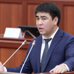 Жанар Акаев: "Башка мамлекеттерде деле президенттер суракка чакырылып, уурдаса жооп берип атышат"