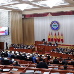 "Чимкирик парламентке" чыдайлы, а өкмөт "мал болбой калды"...