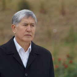  АШАдан кантип дос чыксын?