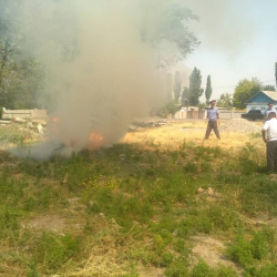 Сотрудниками ОВД Панфиловского района Чуйской области провели  профилактическое мероприятие «Кара-Куурай»