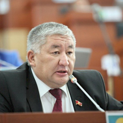 Максат Сабиров: "Жүрөгүмө багбанчылык жакыныраак"