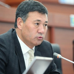  Азиз Турсунбаев: "Балким саясатка барбасам, жакшы багбан болмокмун"