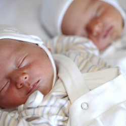 БОЛГОН ОКУЯ: "Эгиздеримдин жүрөгү сокпой калды"