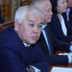 Абдыкалык Рустамов менен Арслан Ибраев камакка алынышты