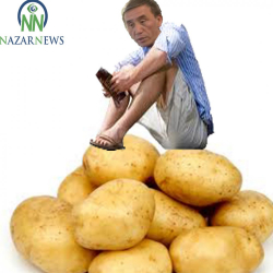 Министр сүйлөсө асманды сүйлөйт, базарда картошканын баасы  6 сомго түшүп калды