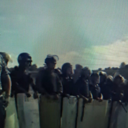 ВИДЕО - Атайын жоокерлер Кой-Ташка барчу жолду бууду