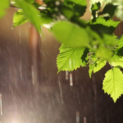 Кыргызстанда аба ырайы өзгөрүлөт