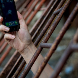 Ак үйдүн атын сатып Кодурановага чалган кылмышкер аныкталды