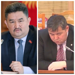 Алмаз Баатырбеков "уйкучу" инисин Нарынга губернатор кыла албай убара