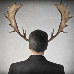 Алданган эркек аялын сотко берди