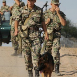 Кыргыз-тажик чек арасындагы курулуш иштери бир аптага токтотулду