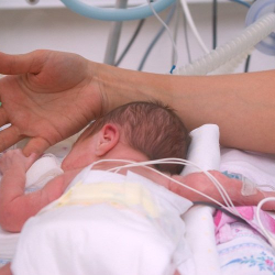 Каза болгонуна 2 ай болгон аял ымыркай төрөдү