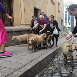 Жаңы премьер-министрди “койлор” шайлаштыбы?